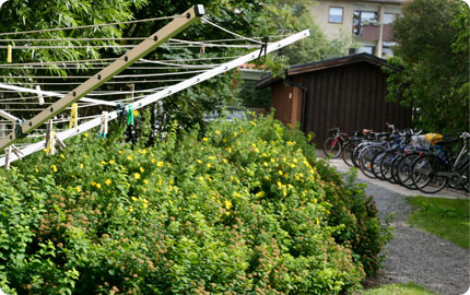 Torkställning, cykelparkering. Miljöhus i bakgrunden
