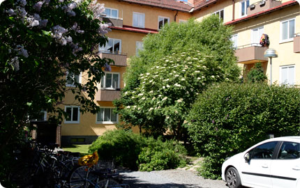 Överblick över Brf Östersundshus nr.2 innergård 